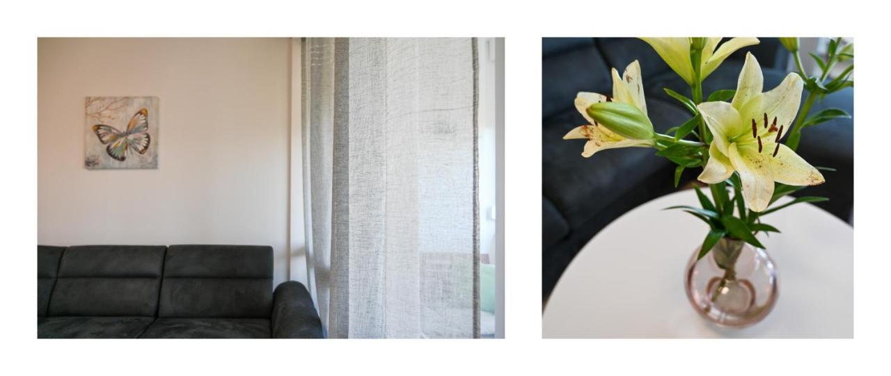 Apartman Armando زادار المظهر الخارجي الصورة